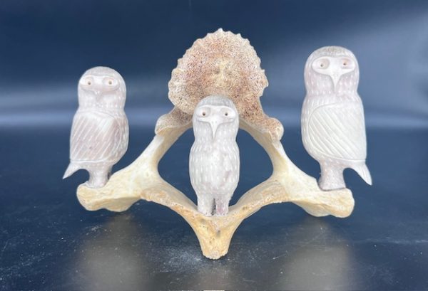 Family of Owls 62851