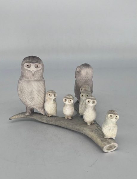 Family of Owls 62874