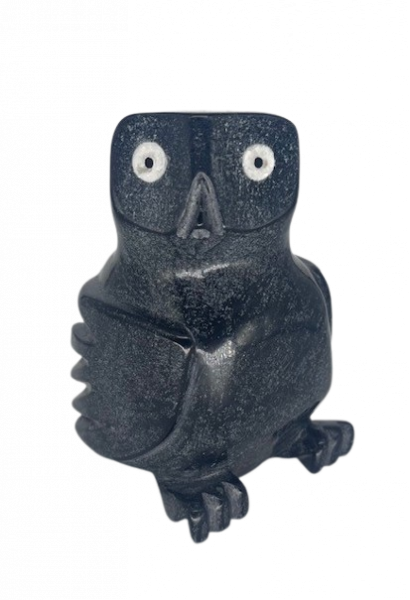 Owl 62870